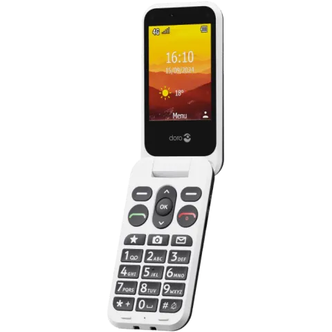 Doro Leva L21